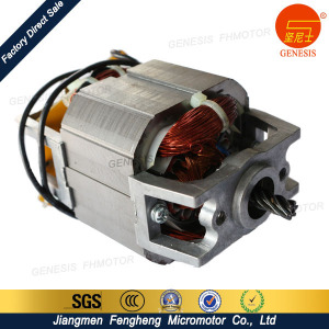 High Quality Home Appliances AC Motor